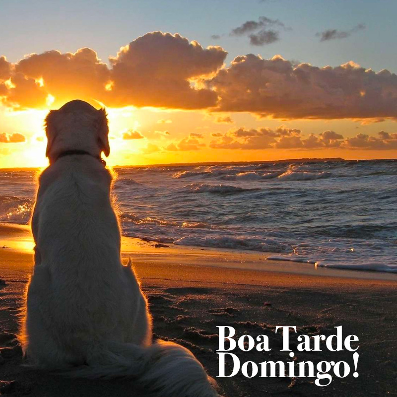 Mensagens de Boa Tarde Domingo para você aproveitar o fim do dia de folga